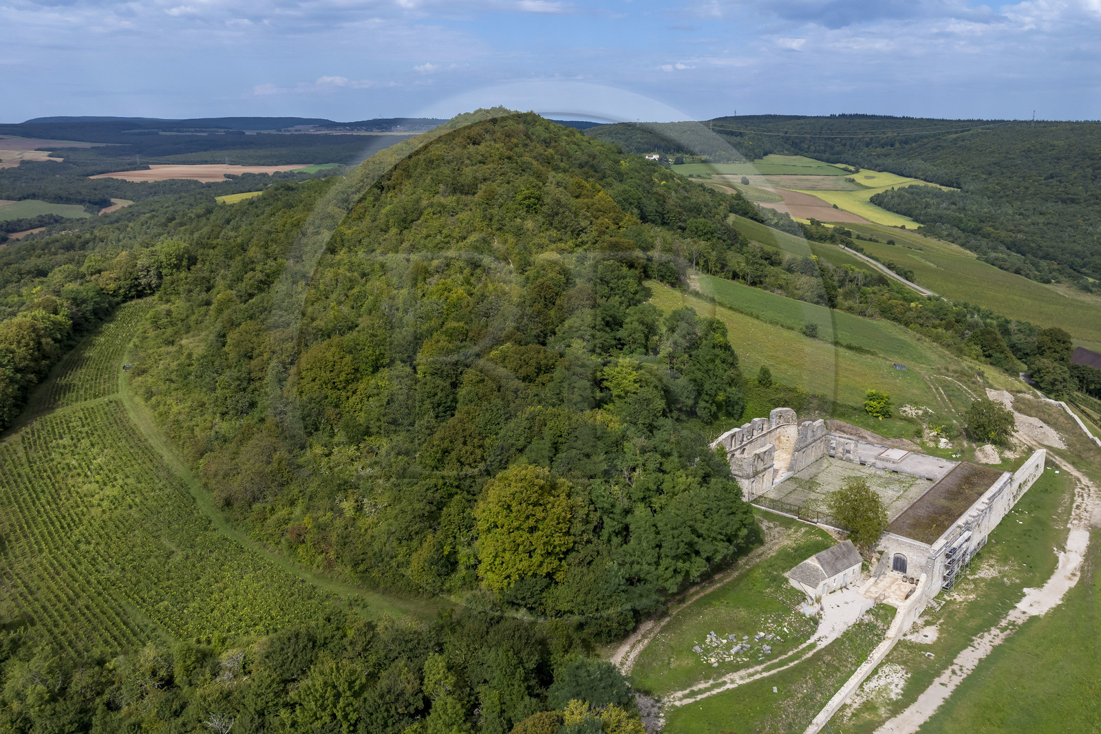 France, Côte-d'Or (21), Curtil-Vergy, ruines de l'abbaye Saint-Vivant de Vergy, ancien prieuré clunisien (vue aérienne)