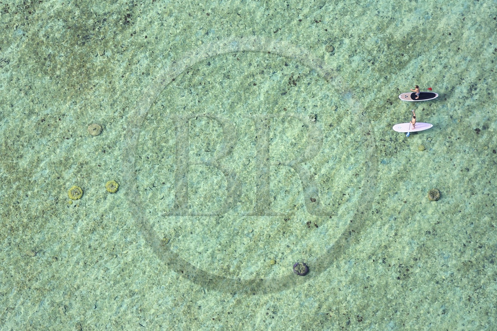 France, île de la Réunion, la Cote Ouest, le lagon de Saint-Gilles-Les-Bains, l'Ermitage-les-Bains (vue aérienne)