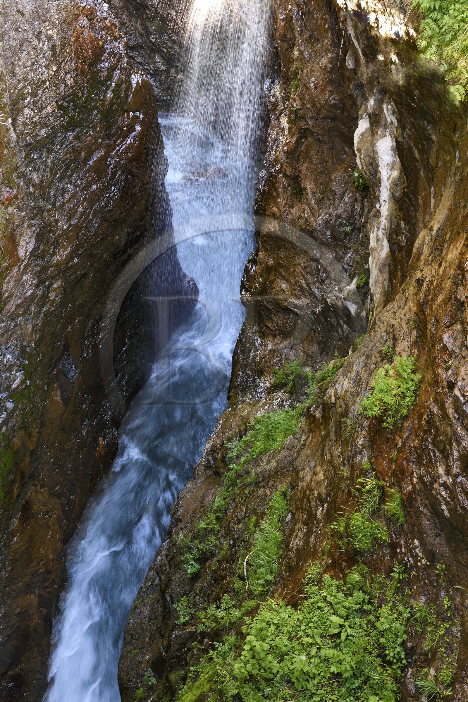 France, Alpes-de-Haute-Provence (04), Parc National du Mercantour, Val d'Allos, une Clue (ravin) du Verdon à l'entrée de la station de sports d’hiver de Val d’Allos-La Foux