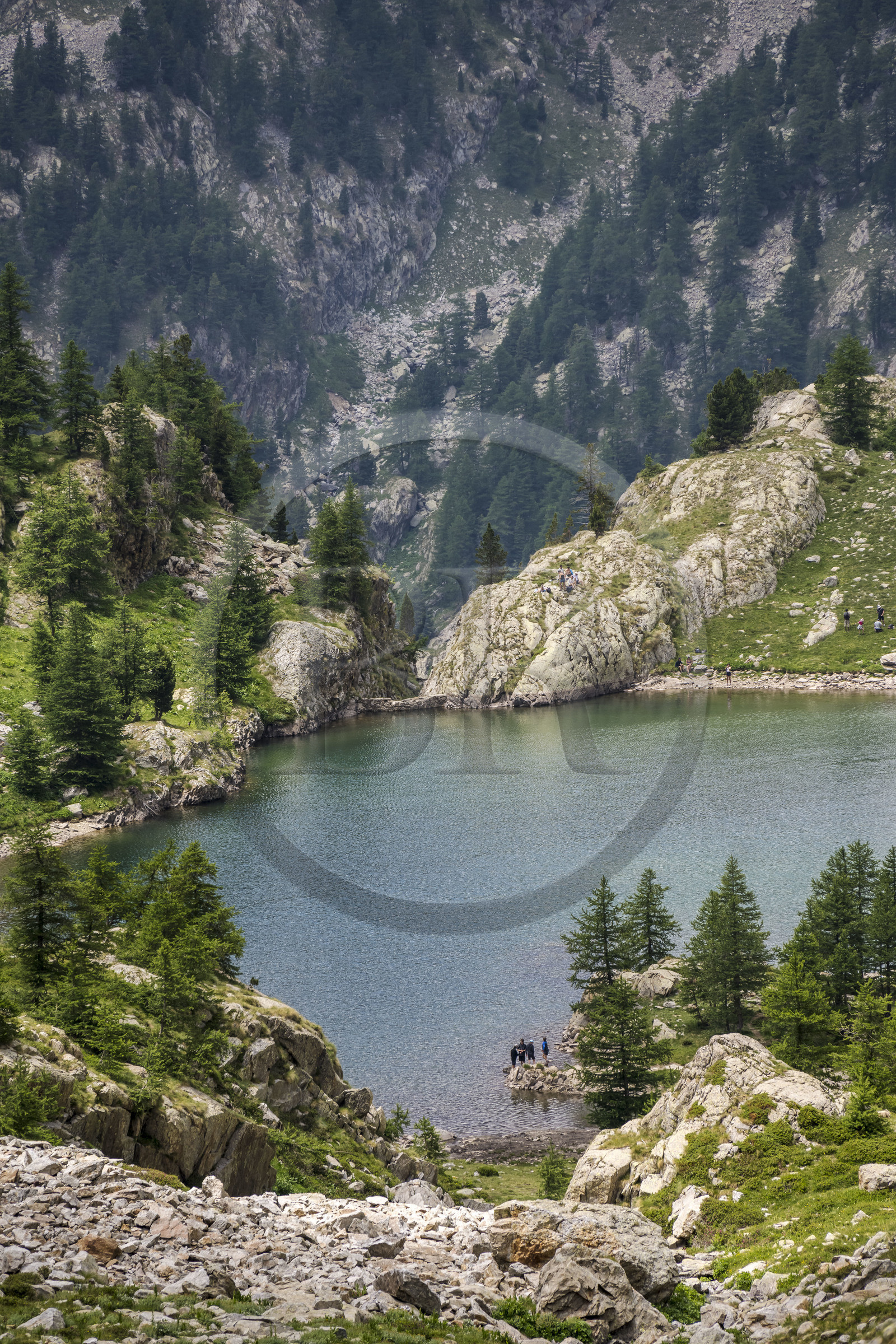 France, Alpes-Maritimes (06), parc national du Mercantour, Haute-Vésubie, Saint-Martin-Vésubie, Val du Haut Boréon, lac de Trécolpas (2150m)