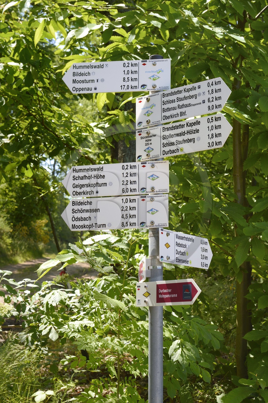 Germany, Baden-Wurttemberg, Durbach, signs