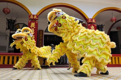 France, île de la Réunion, Saint-Pierre, danse traditionnelle du dragon à l'occasion des fêtes du nouvel an chinois dans un temple