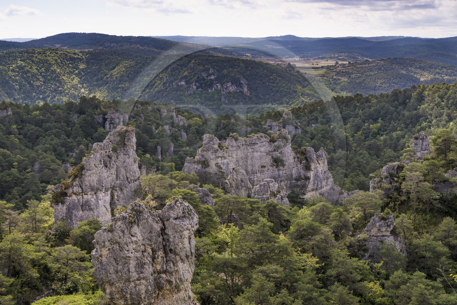 France, Aveyron (12), Causses et les Cévennes, paysage culturel de l'agro-pastoralisme méditerranéen, classés Patrimoine Mondial de l'UNESCO, Causse Noir, La Roque-Sainte-Marguerite, chaos de Montpellier-le-Vieux, la Cité de Pierres
