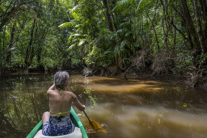 France, French Guiana, Kourou, Maripas camp in the rainforest, canoe trip to discover a crique (creek), a small river, tributary of the Kourou River