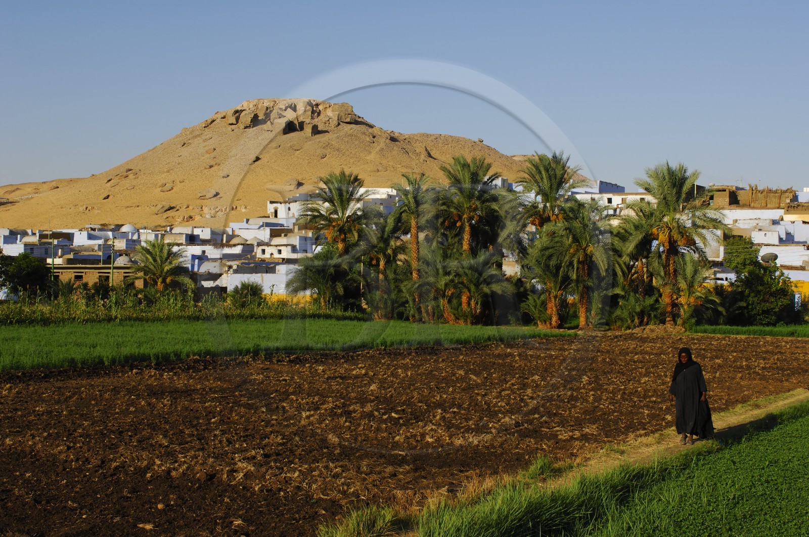 Egypt, Upper Egypt, Nubia, Nile Valley, Aswan, west bank, nubian village at the edge of the desert