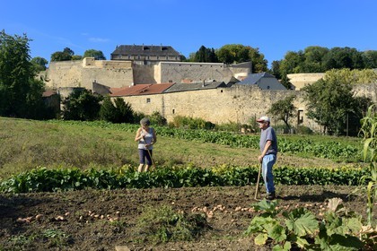 France, Moselle (57), Rodemack, labellisé Les Plus Beaux Villages de France, couple cultivant son jardin à l'extérieur des remparts, les vestiges du chateau en arrière plan