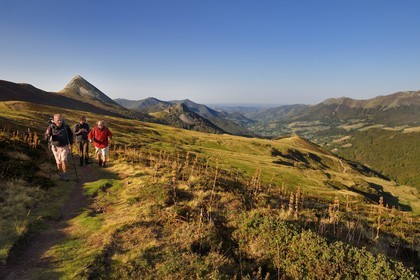 France, Cantal (15), Parc Naturel Régional des Volcans d'Auvergne, Le Lioran, col de Rombière surplombant la vallée de la Jordanne, randonneurs sur le chemin de Saint-Jacques de Compostelle par la Via Arverna, en arrière plan le Puy Griou émergeant à gauche et le Griounou à sa droite