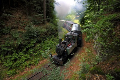 France, Moselle (57), Abreschviller, le petit train anciennement train forestier