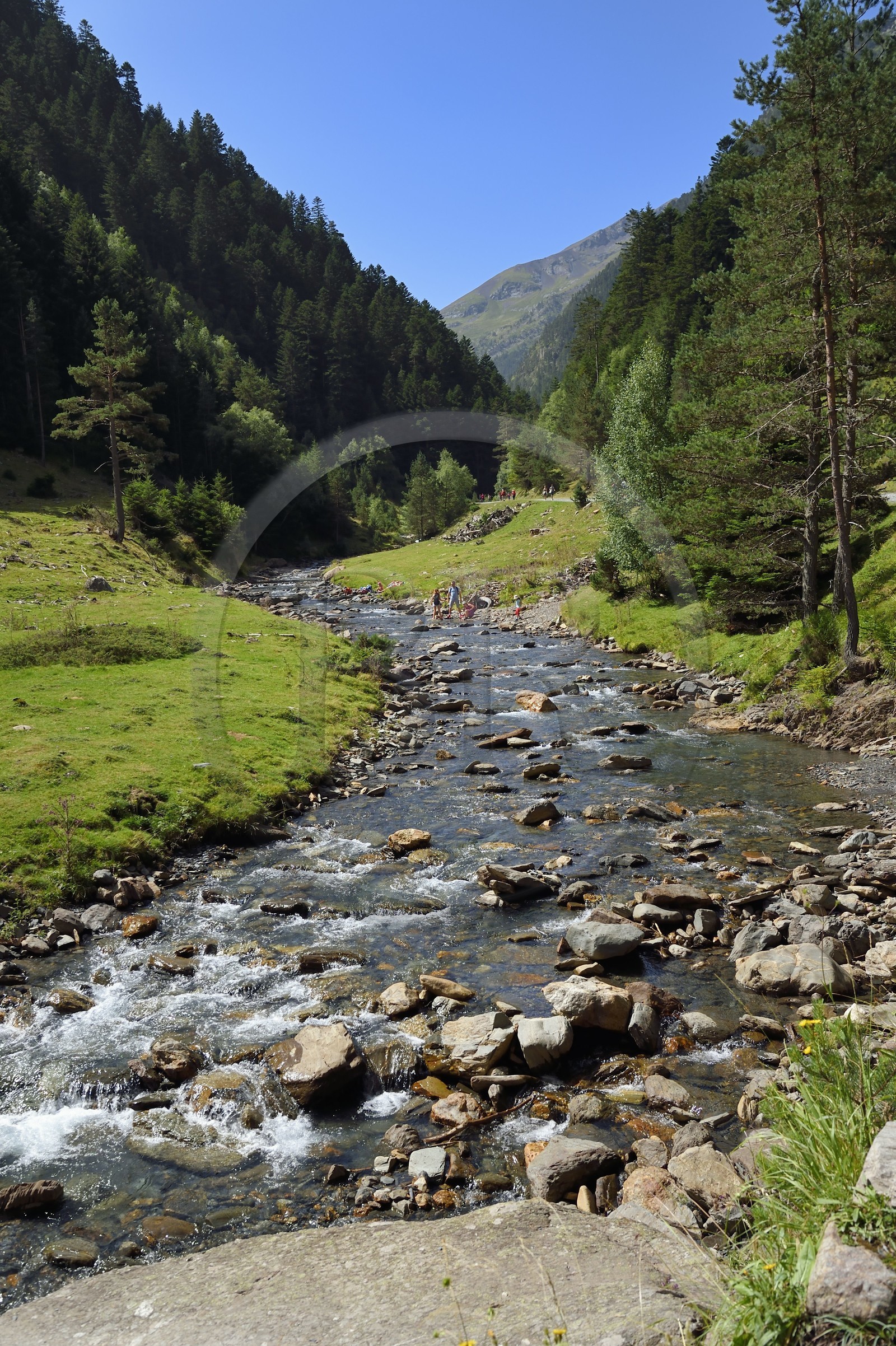 France, Hautes-Pyrénées (65), Saint-Lary-Soulan, vallée du Rioumajou, la (rivière) Neste de Rioumajou