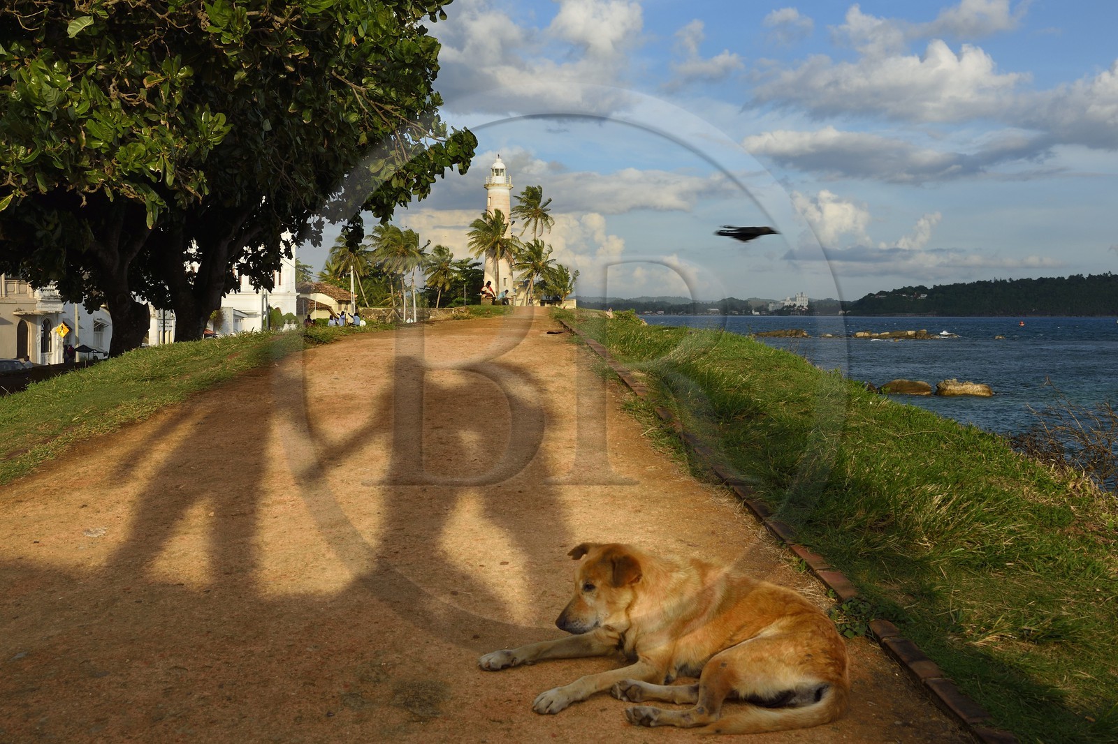 Sri Lanka, Province du Sud, Fort de Galle, classé Patrimoine Mondial de l'UNESCO, le phare sur les remparts maritimes de la ville fortifiée
