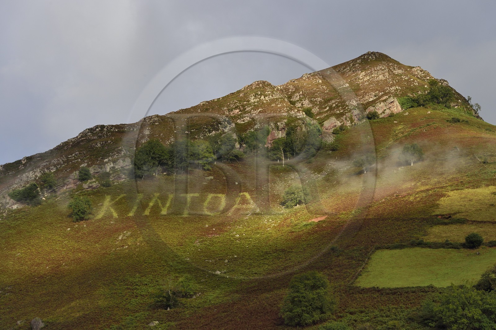 France, Pyrenees Atlantiques, Basque Country, Aldudes Valley at the gates of Kintoa Country and place of the AOC Kintoa