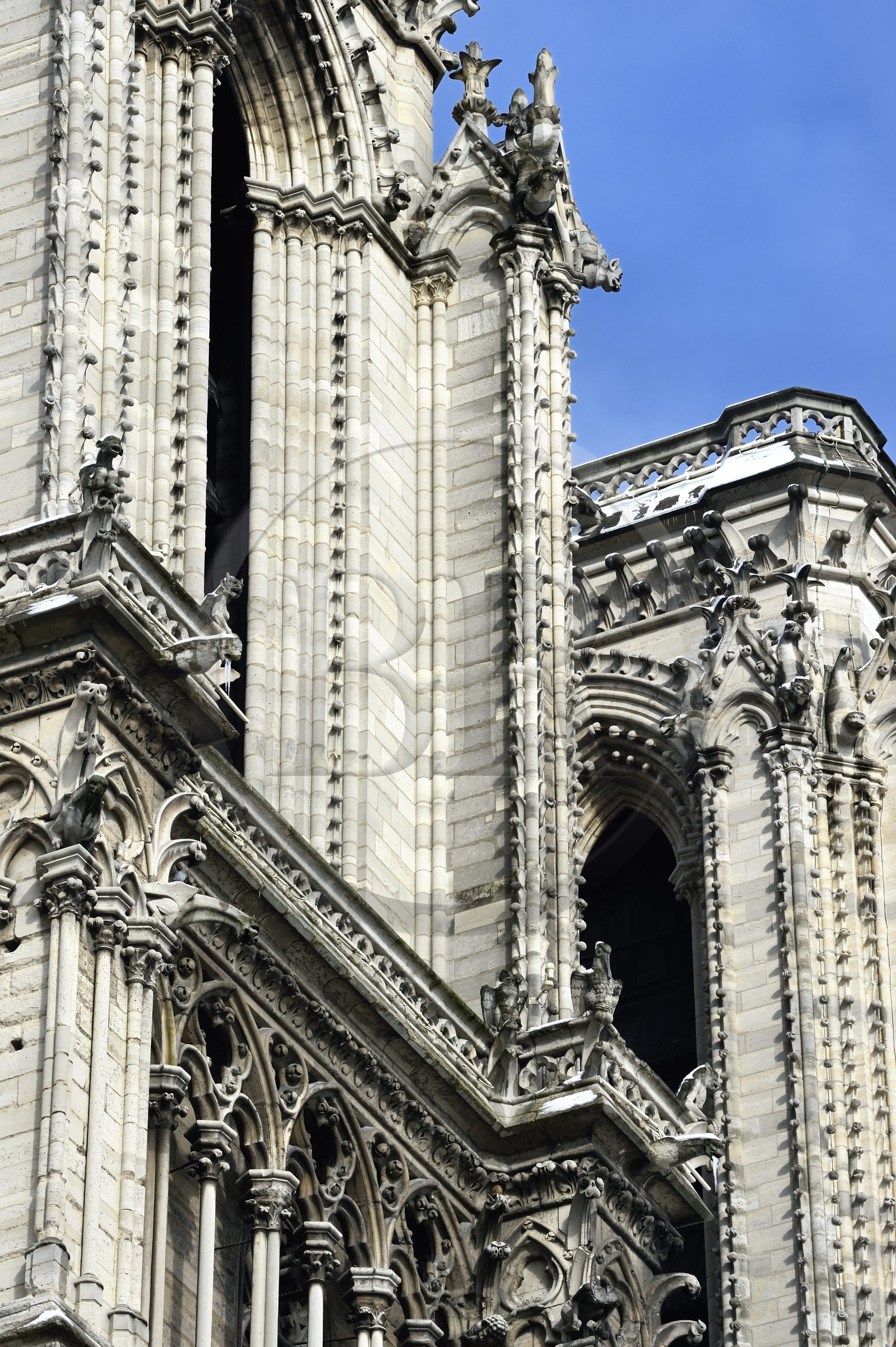 France, Paris, area listed as World Heritage by UNESCO, the banks of the Seine, classified World Heritage by UNESCO, the Notre-Dame Cathedral under the snow on the Ile de la Cité, gargoyles