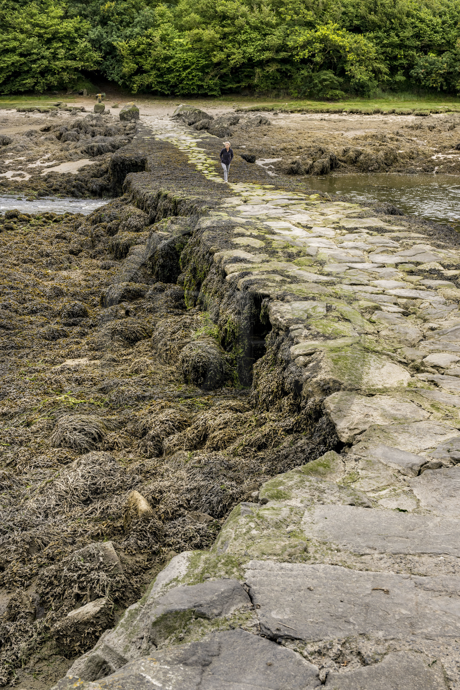 France, Finistère (29), Pays des Abers, Plouguerneau, le Pont du diable ou Pont Krac'h traversant l'Aber Wrac'h à marée basse