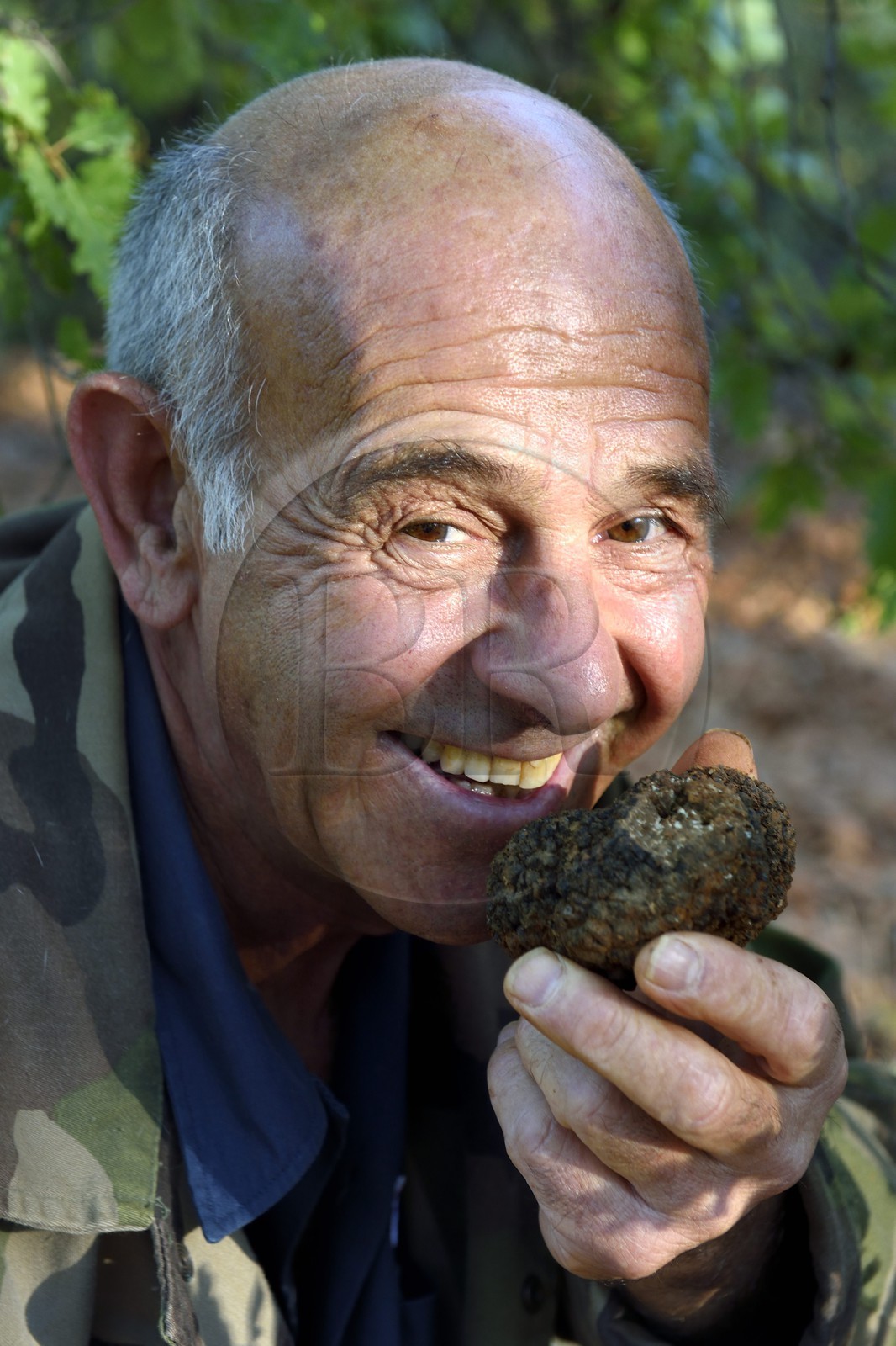 France, Var (83), Bauduen, Domaine du Hameau des Clos, le trufficulteur Marcel Demaria et truffe blanche d’été (Tuber aestivum) dite encore truffe de la Saint-Jean
