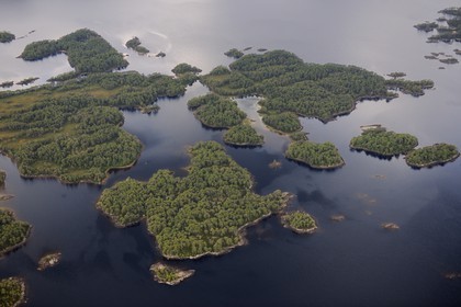 Royaume-Uni, Ecosse, Highland, îlots boisés dans le Loch Maree (vue aérienne)