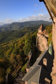 France, Bas Rhin, Orschwiller, Alsace Wine Road, Haut Koenigsbourg Castle, the great Bastion overlooking the forest around