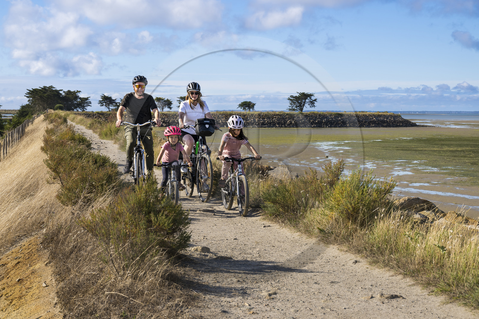 France, Vendée (85), île de Noirmoutier, Barbatre, cyclistes sur la digue de la côte Est à marrée basse