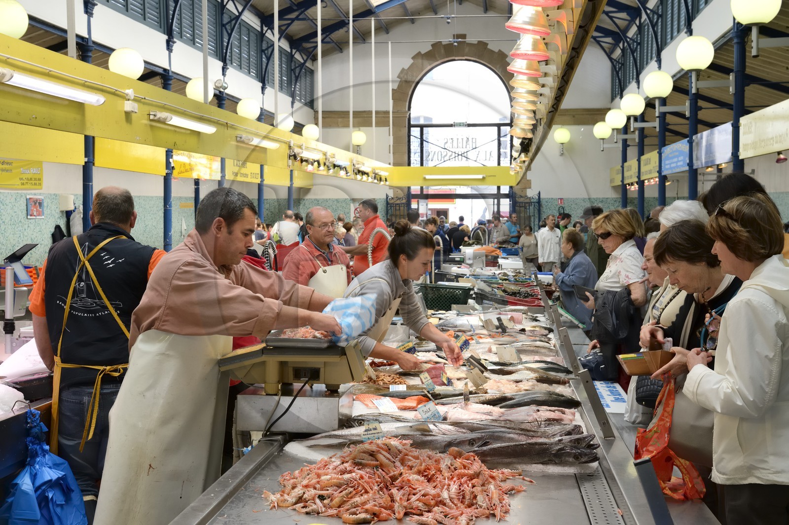 France, Morbihan, Gulf of Morbihan (Golfe du Morbihan), Vannes, the fish market