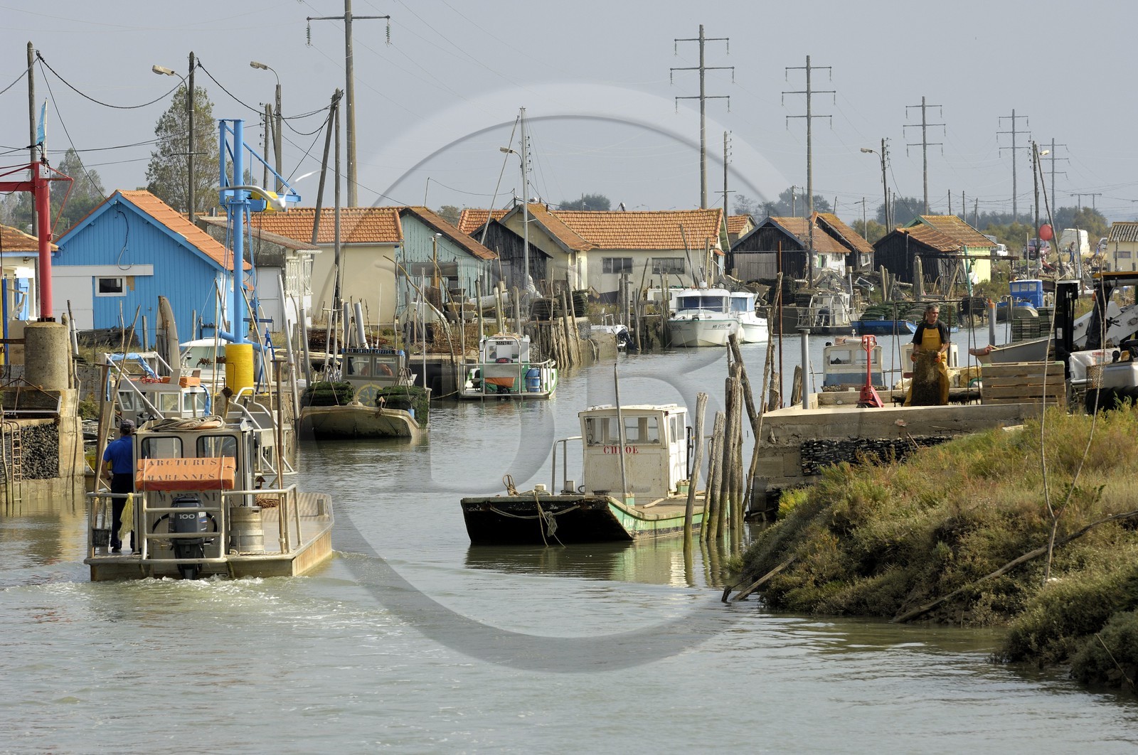 France, Charente-Maritime (17), Ile d'Oléron, le chenal d'Ors, chaland à huîtres dans le port ostréicole