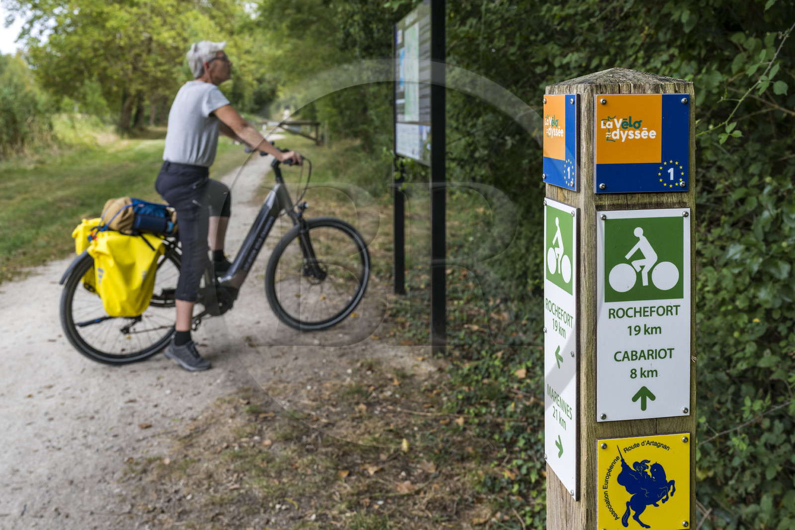 France, Charente Maritime, Echillais, cyclist on the Vélodyssée cycle route