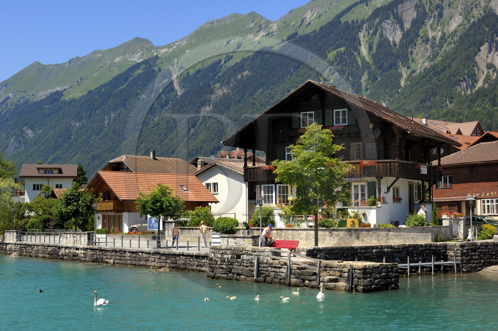 Suisse, Canton de Berne, Oberland Bernois, lac de Brienz (Brienzer See), port du village de Brienz