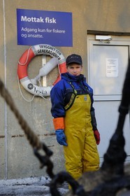 Norvège, Nordland, iles des Westeralen, port de Myre, jeunes garçons se faisant de l'argent de poche en travaillant pour une usine de cabillaud