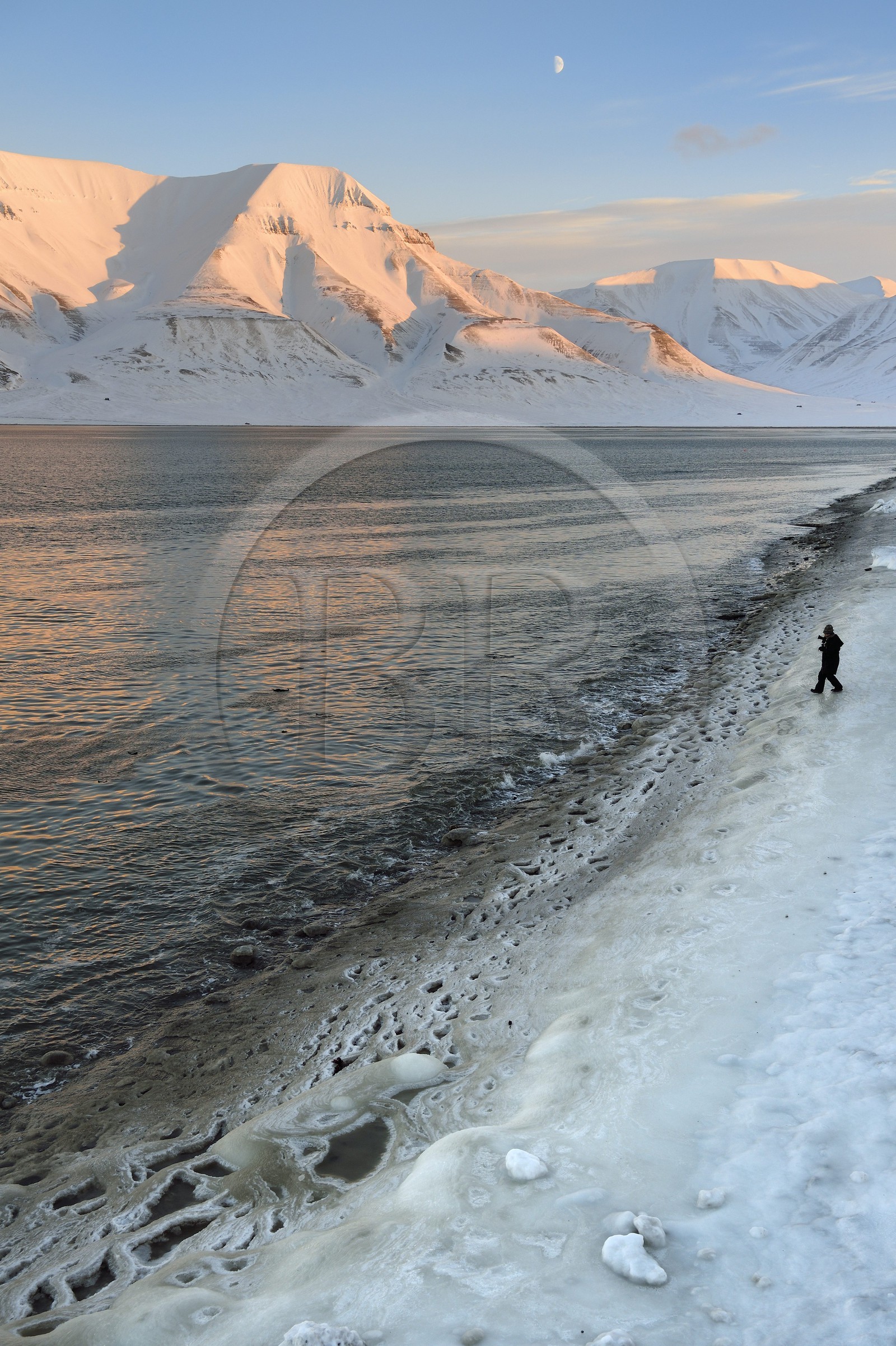 Norvège, Svalbard, Spitzberg, Longyearbyen, Adventfjorden, dentelle d'eau salée glacée
