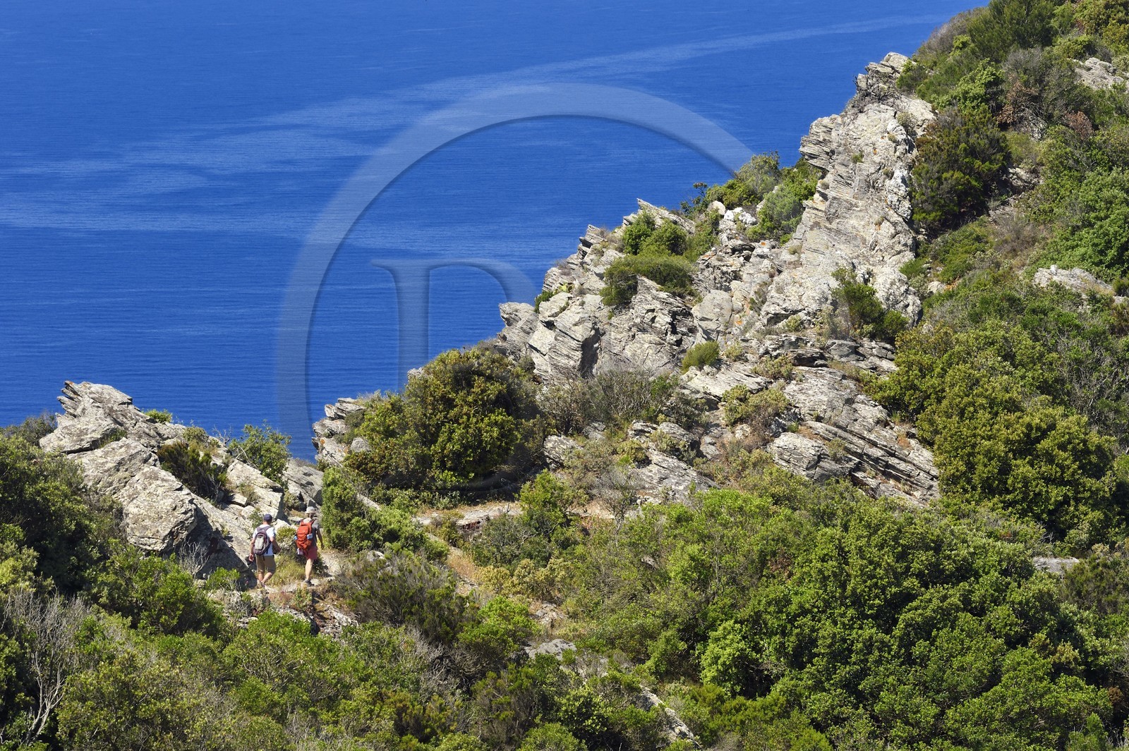 France, Var, Six Fours les Plages, hike in the Cap Sicie massif, hikers on the Roumagnan crest trail