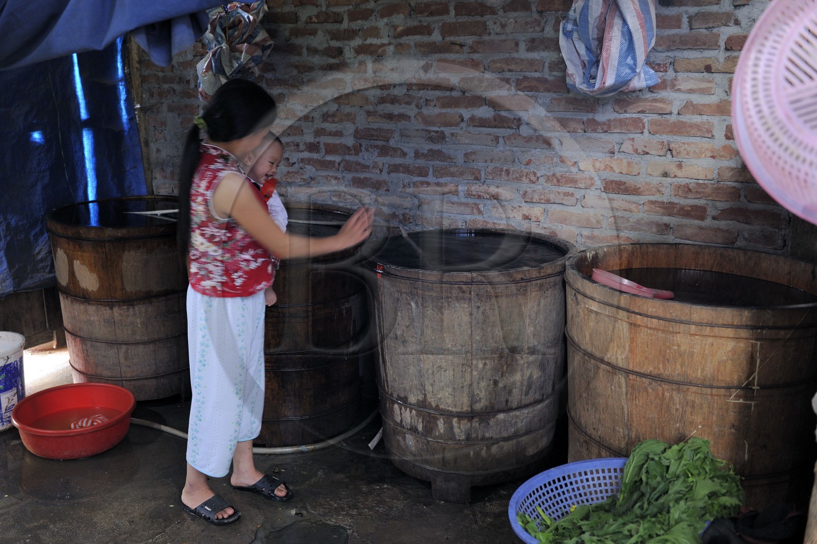 Vietnam, province de Lao Cai, région de Sapa, Ta Phin, minorité ethnique des Dzao Rouges, Dao'Spa bains traditionnels aux herbes
