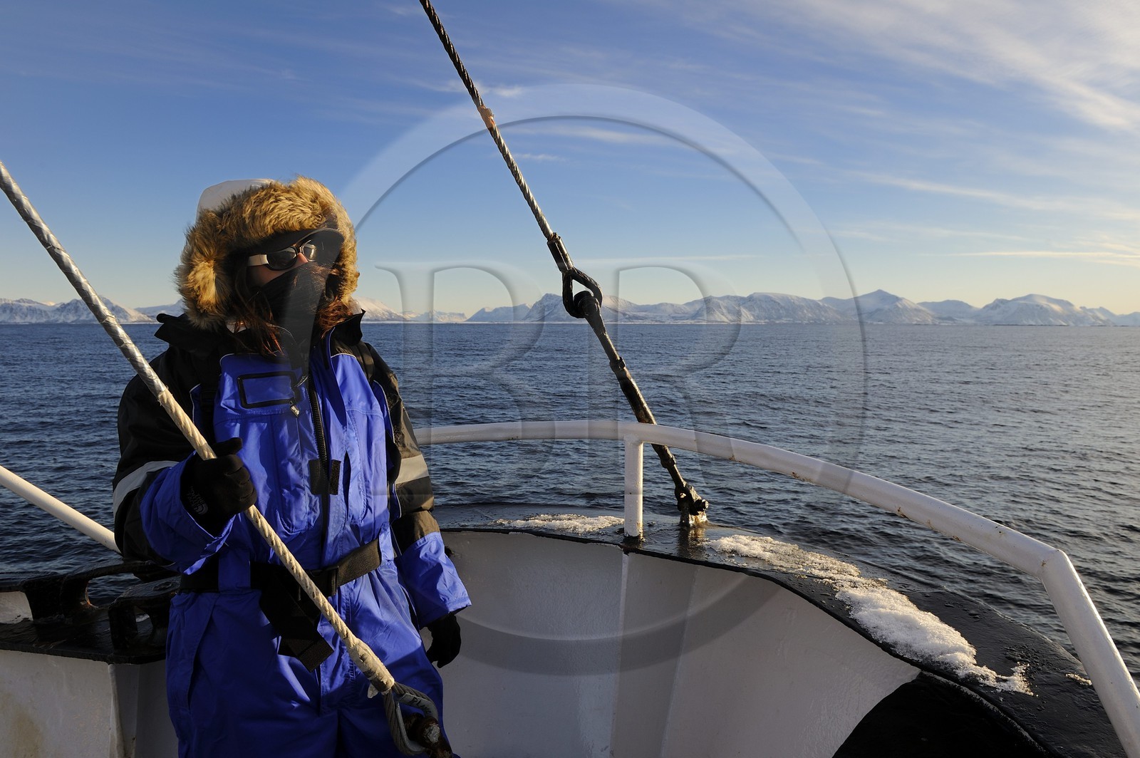 Norvège, Nordland, iles des Westeralen, région de Myre, le bateau Leonora pour l'observation des baleines