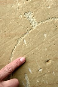 France, Alpes-Maritimes (06), parc national du Mercantour, Vallée des Merveilles parsemée de milliers de gravures rupestres de l'Age de bronze, dalles de schiste jaune des chiappes