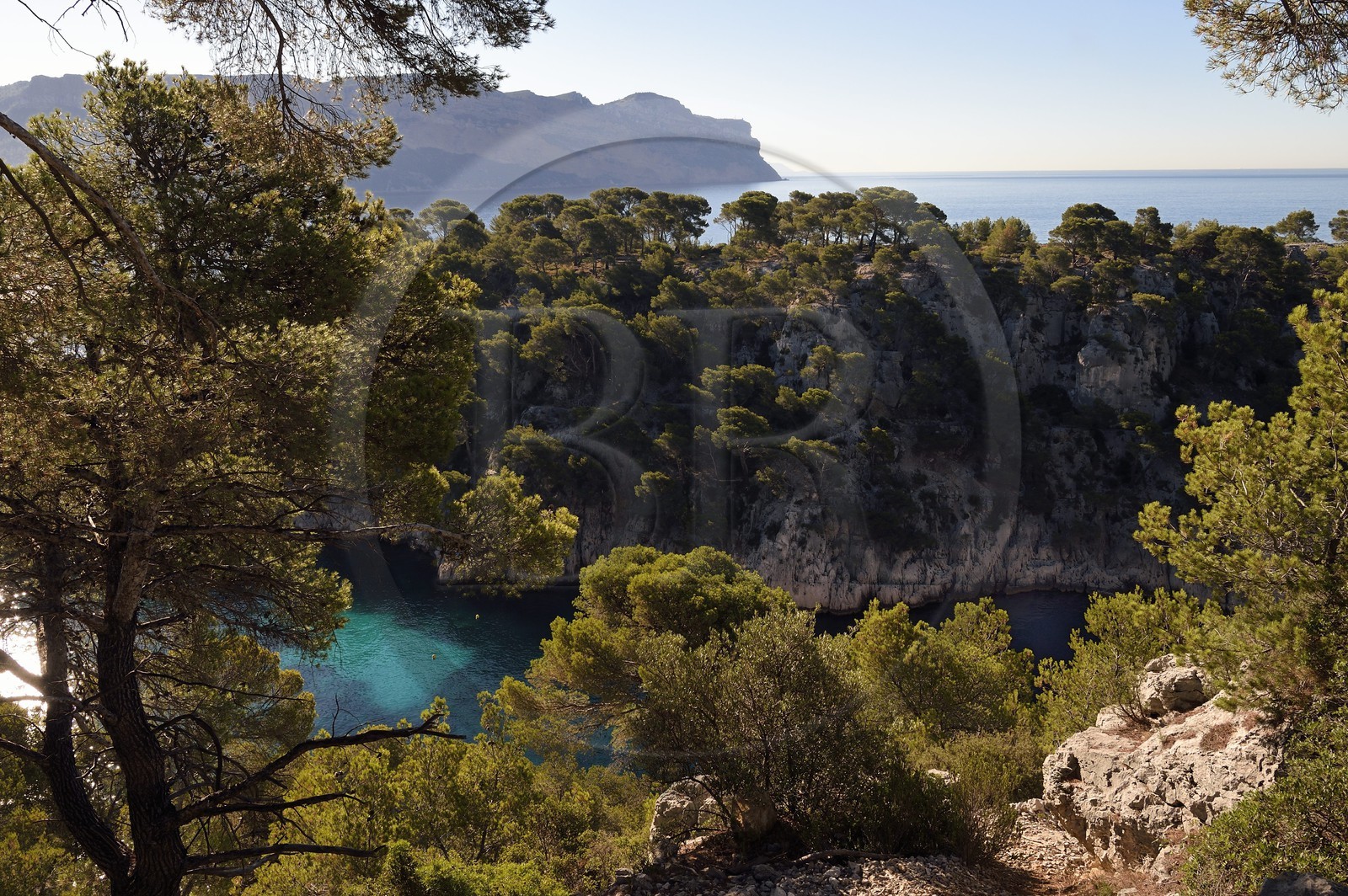 France, Bouches-du-Rhône (13), Cassis, Parc national des Calanques, Calanque de Port-Miou et les falaises du Cap Canaille en arrière plan (demande d'autorisation nécessaire avant publication)