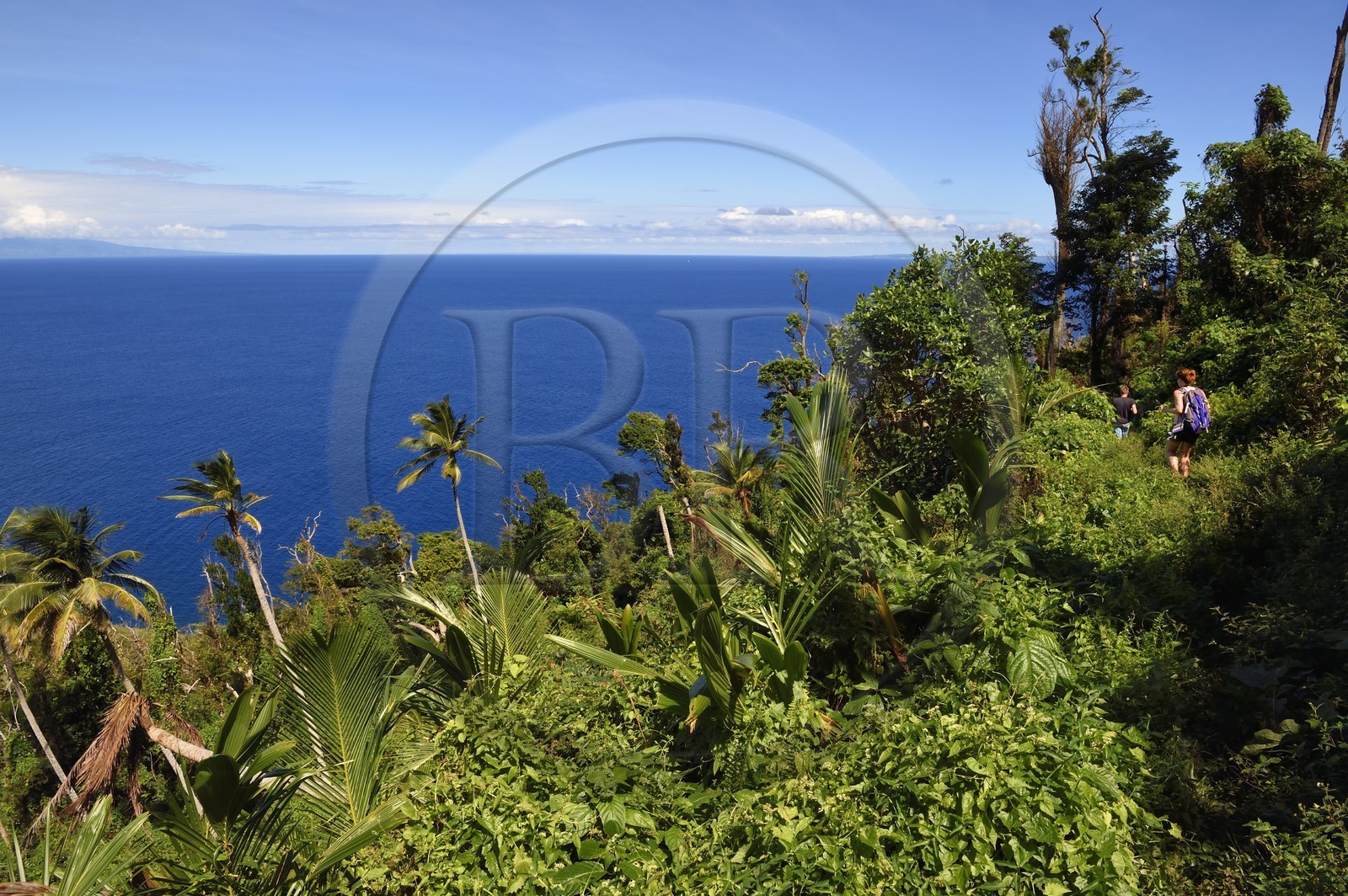 Caribbean, Dominica Island, hikers on segment 13 of the Waitukubuli National Trail in the north of the island between Pennville and Capuchin
