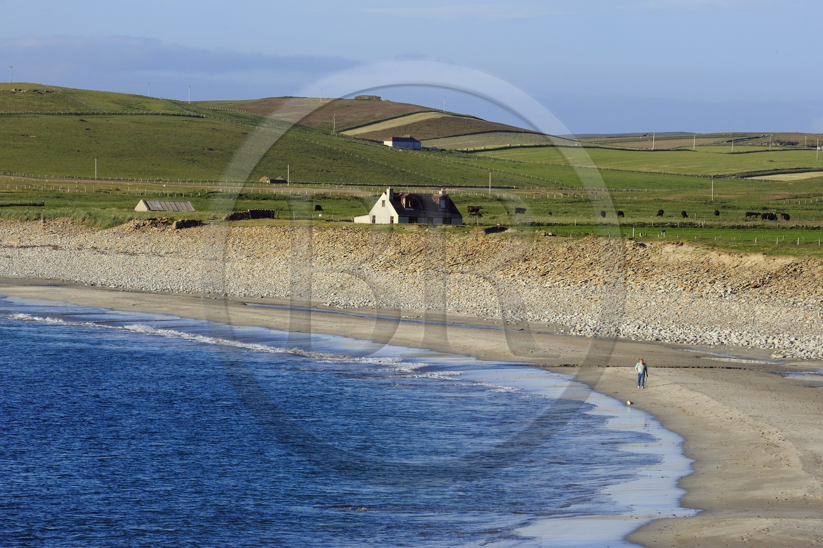 Royaume-Uni, Ecosse, Iles Orcades, Ile de Mainland, la Baie de Skaill à Skara Brae