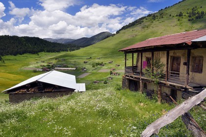 Géorgie, Kakheti, Parc national de Touchétie, village de Shenako