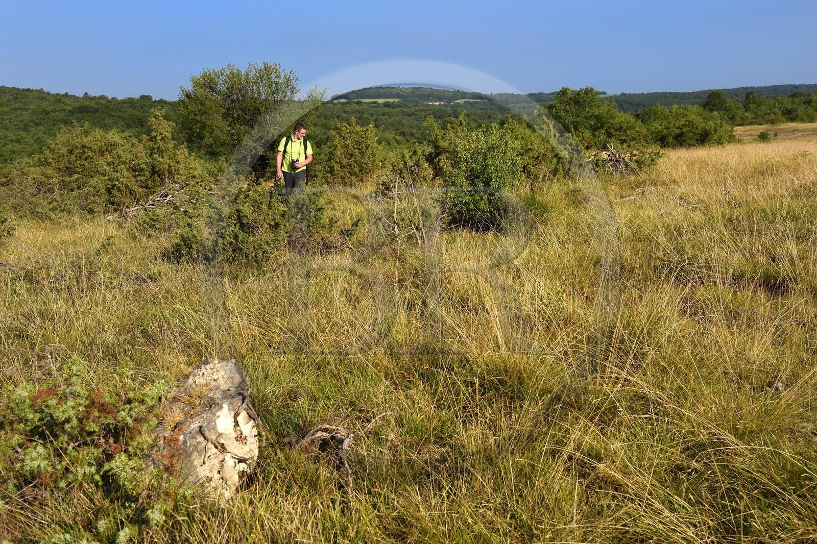 France, Dordogne, Regional Natural Park Périgord Limousin, Perigord Vert, La Rochebeaucourt-et-Argentine village area, Argentine plateau, Cedric Devilleger Project Manager Natura 2000 Dronne Argentina