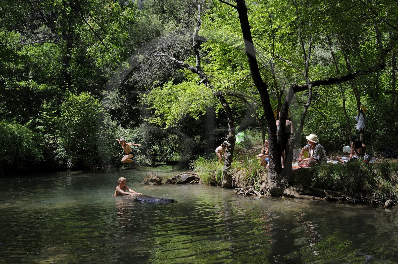France, Var (83), Provence Verte, Tourves, rivière du Caramy dans les Gorges du Caramy