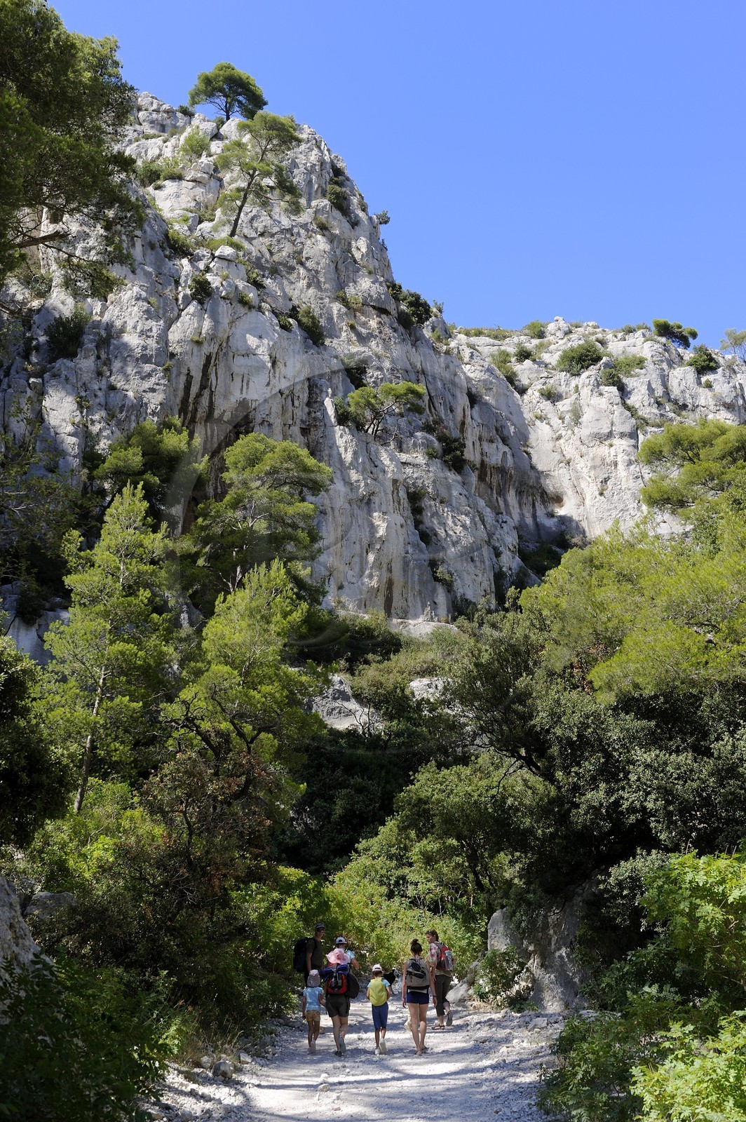 France, Bouches du Rhone, Cassis, the path leading to the En Vau creek (calanque)