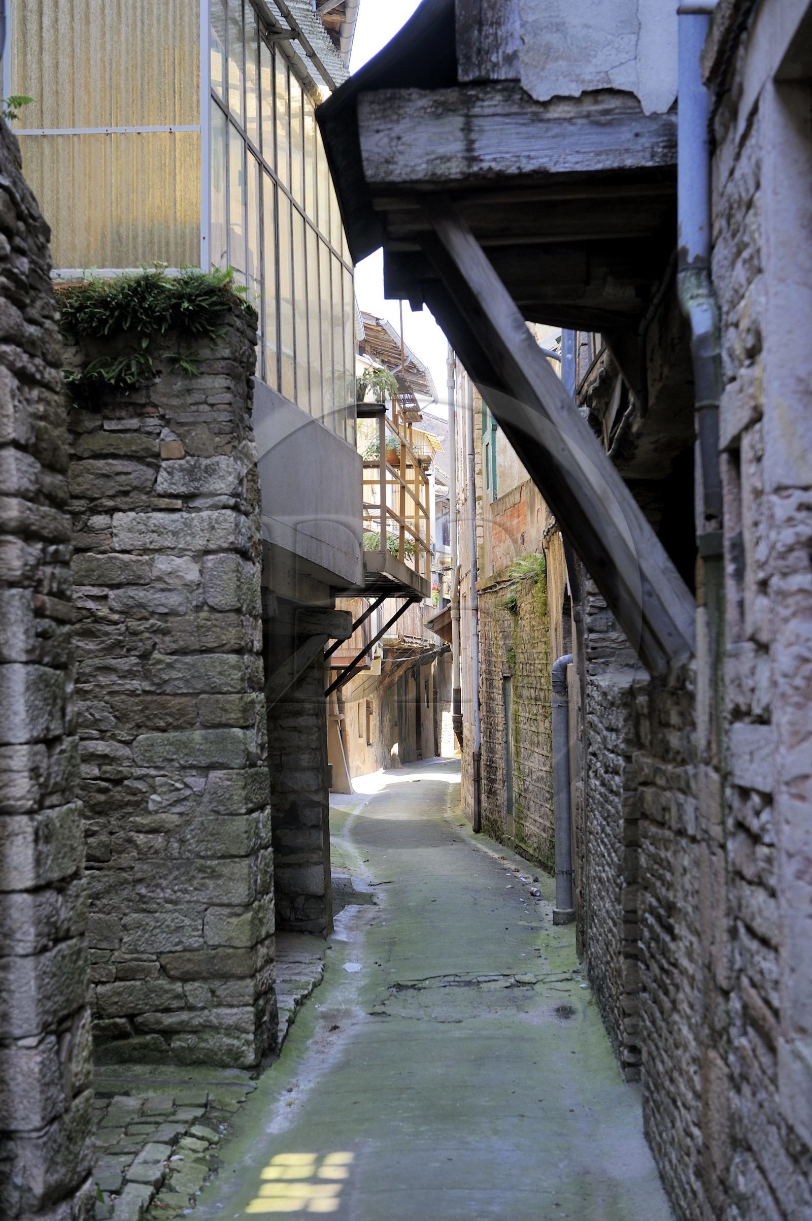 France, Saône et Loire (71), Tournus, la ruelle du Bief Potet qui chemine entre les maisons