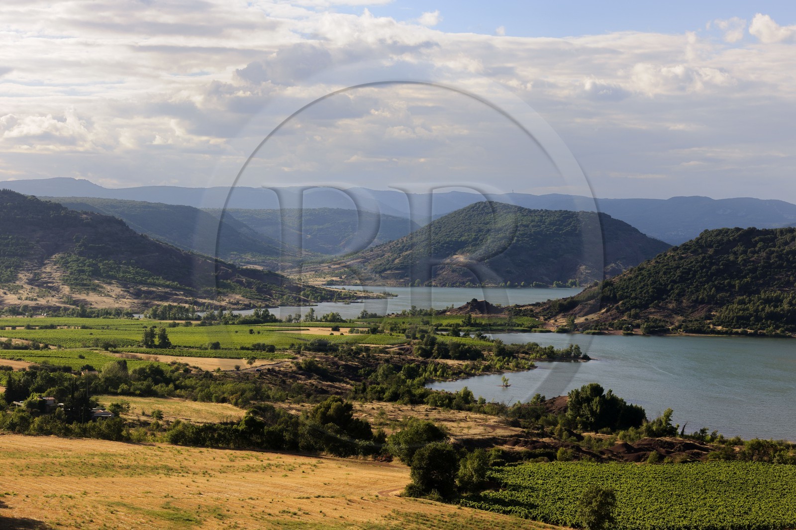 France, Hérault (34), le lac de Salagou, champs et vignoble