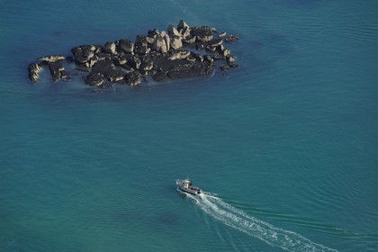 France, Manche (50), îles Chausey (vue aérienne)