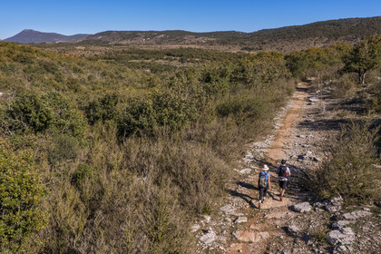 France, Hérault (34), les Causses et les Cévennes, paysage culturel de l'agro-pastoralisme méditerranéen inscrit au Patrimoine Mondial de l'UNESCO, Saint-Maurice-Navacelles, randonneurs progressant sur le GR 7 dans un paysage typique du causse du Larzac, le massif de la Séranne qui s'est formé sur une barrière corallienne en arrière plan (vue aérienne)