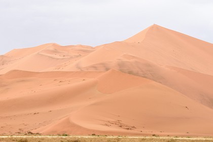 Namibie, région d'Hardap, désert du Namib, parc national du Namib-Naukluft, Erg du Namib classé Patrimoine Mondial de l'UNESCO, dunes de Sossusvlei, randonneurs sur la dune Big Daddy