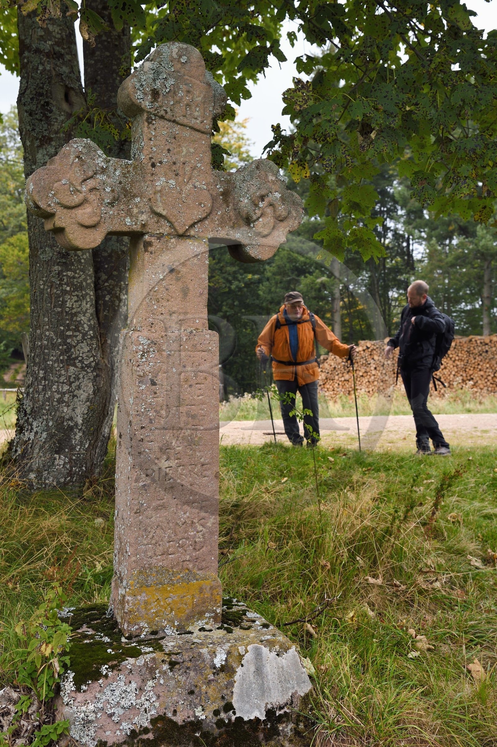 France, Haut Rhin, Thannenkirch, hiking in the Taennchel massif, cross dated 1851 on the top of the Schillig probably dedicated to a lumberjack who died there