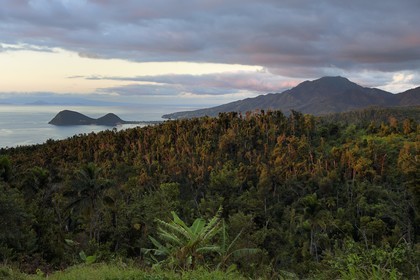 Caraïbes, Ile de la Dominique, Portsmouth, la forêt tropicale et la péninsule du Parc national des Cabrits dans la baie de Prince Rupert