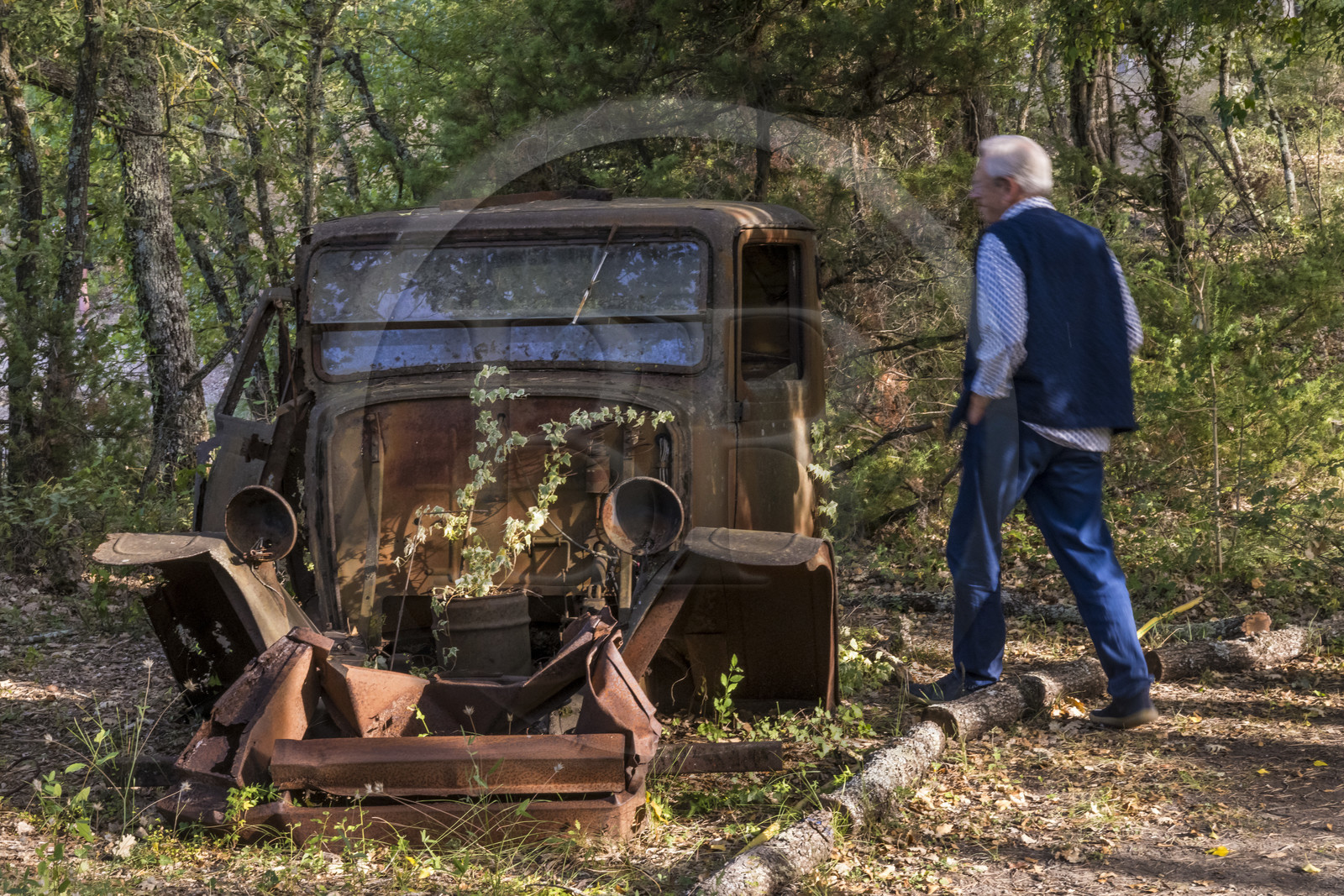 France, Var (83), Provence Verte, Bras, Academie du Bain de Foret Provencale, la maison d'hotes Le Peyrourier - une campagne en Provence, Claude Fussler