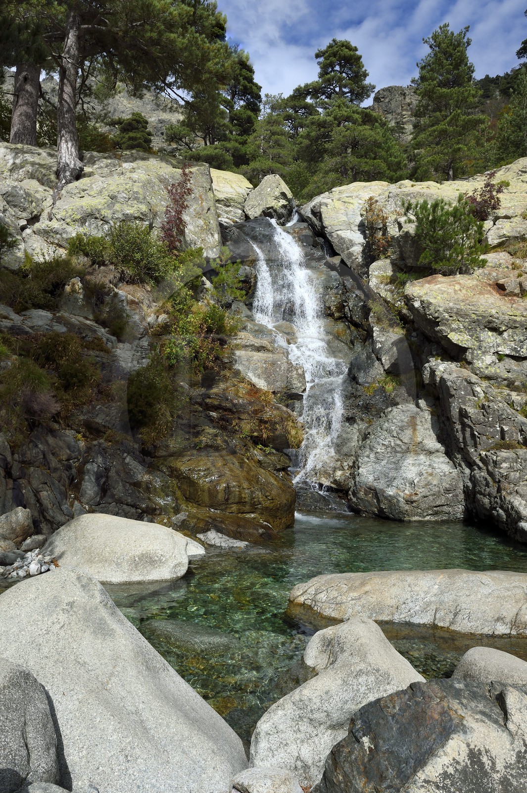 France, Haute-Corse (2B), Vivario, GR 20, étape entre le refuge de l'Onda et Vizzavona, foret de Vizzavona, les cascades des anglais, groupe de cascades dans la vallée de l'Agnone au pied du Monte d'Oro