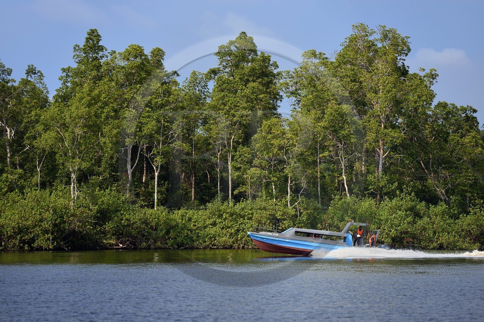 Gabon, province de Ogooué- Maritime, région de Port-Gentil, bateau taxi sur une rivière débouchant sur la baie du Cap Lopez, le manque de routes est compensé par l'utilisation des rivières