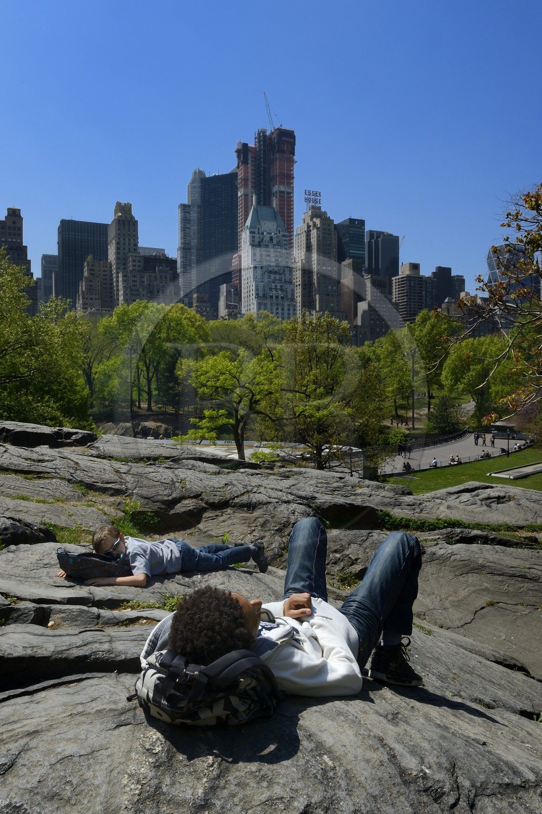 Etats-Unis, New York, Manhattan, Central Park, les rochers près du Pond et les immeubles de Midtown en arrière plan
