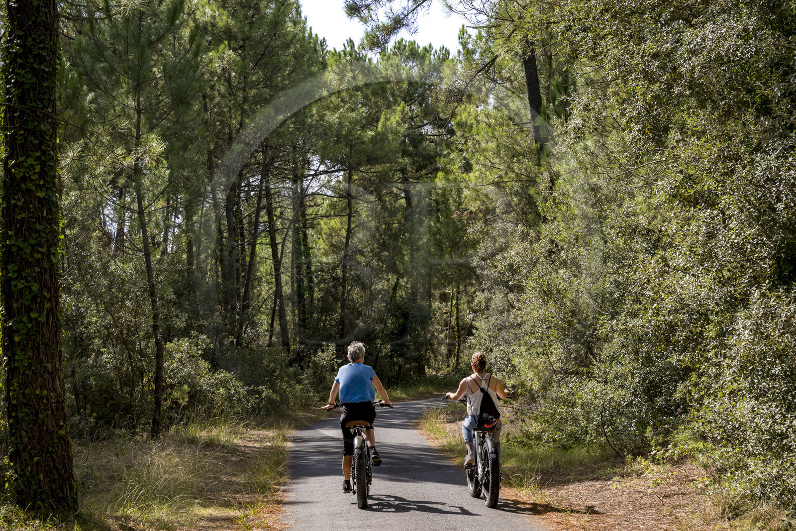 France, Charente-Maritime (17), Royan, Les Mathes, cyclistes sur la Vélodyssée, la piste cyclable EuroVelo1 qui longe l’Atlantique au nord de La Palmyre